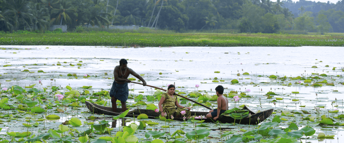 Vellayani Lake Kovalam
